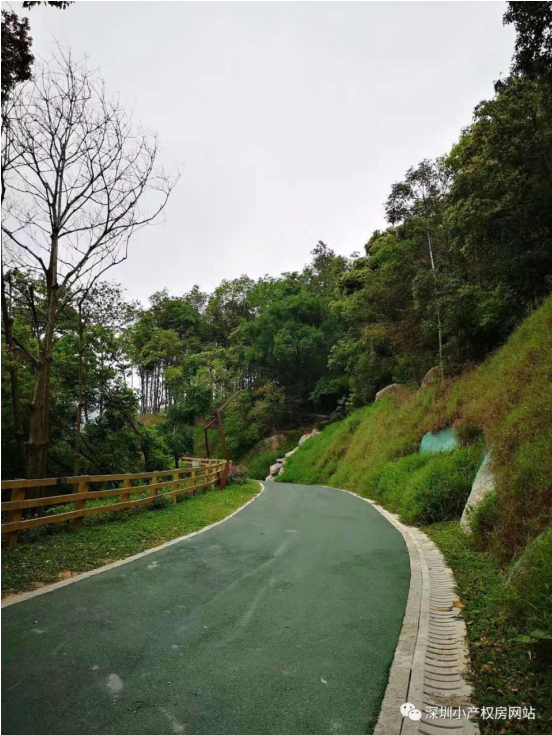 56.8萬入手龍華山水綠園村委統(tǒng)建樓，還在等什么？