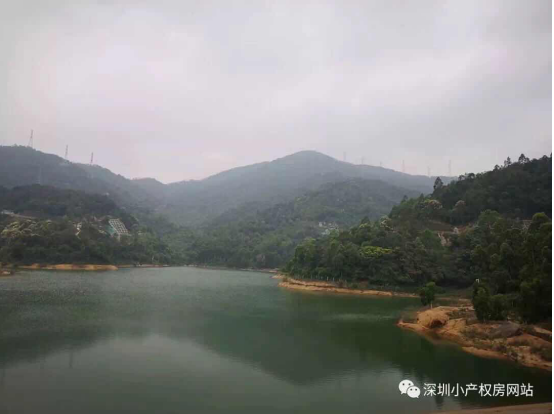 56.8萬入手龍華山水綠園村委統(tǒng)建樓，還在等什么？