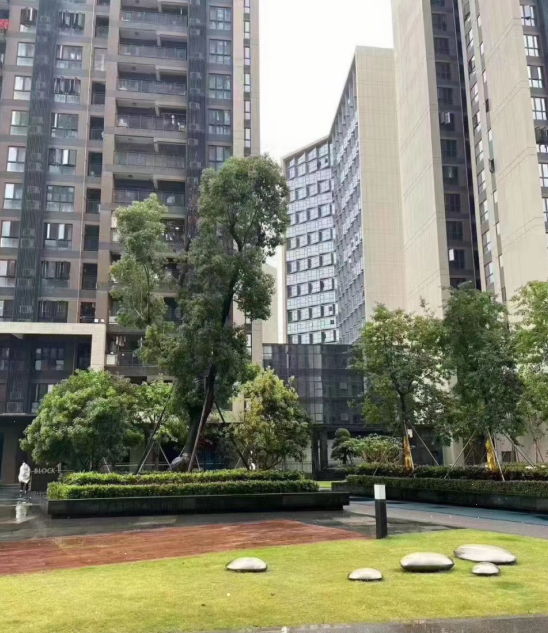 觀瀾新城締造世界級國際產業均價26500元/平