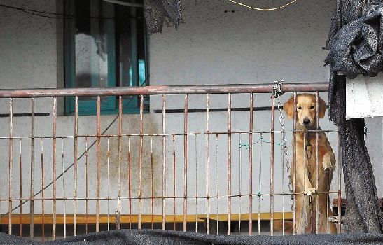 陳某父親曾在陳某上初中時(shí)