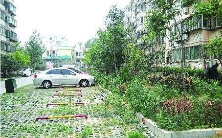 林國(guó)培是第一個(gè)領(lǐng)到回遷房鑰匙的人