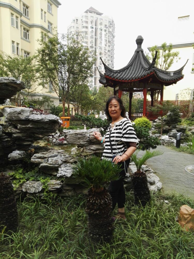 名苑小區分三期開發