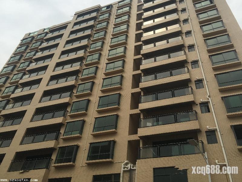 光明擁有中山大學深圳校區(qū)