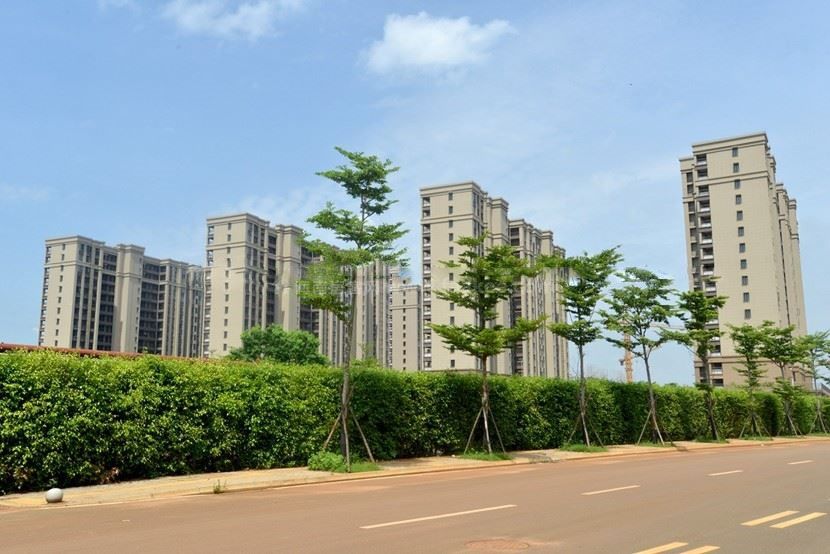 車陂村第一時間成立了由村公司黨員